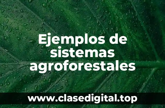 Ejemplos de sistemas agroforestales