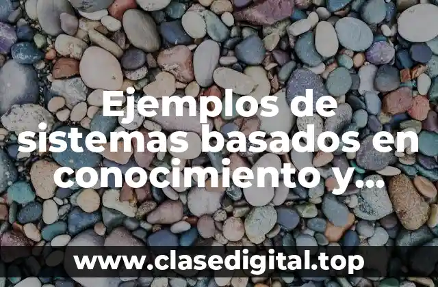 Ejemplos de sistemas basados en conocimiento y Significado