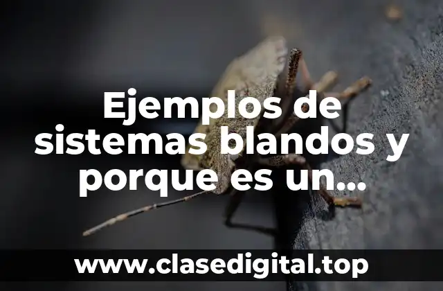 Ejemplos de sistemas blandos