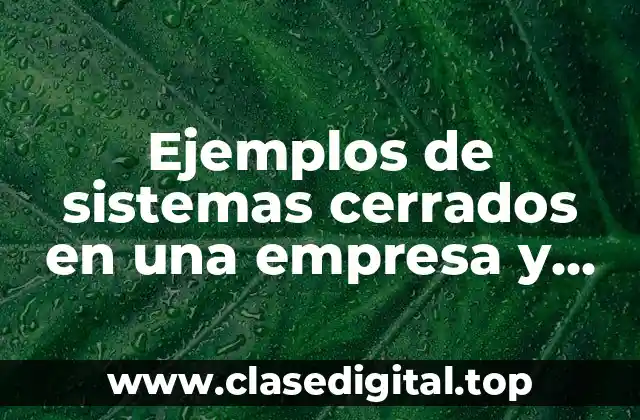 Ejemplos de sistemas cerrados en una empresa y Significado