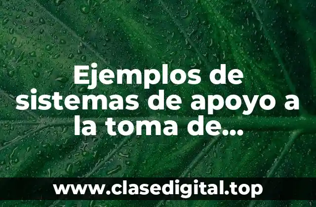 Ejemplos de sistemas de apoyo a la toma de decisiones