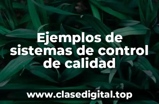Ejemplos de sistemas de control de calidad