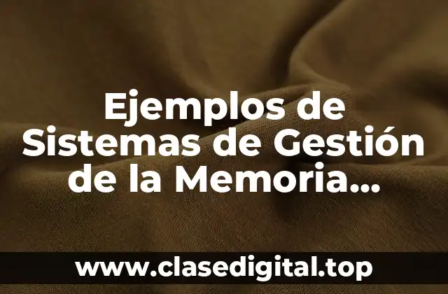 Ejemplos de Sistemas de Gestión de la Memoria Musical