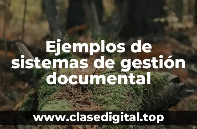 Ejemplos de sistemas de gestión documental