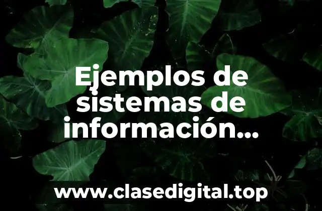Ejemplos de sistemas de información automatizados