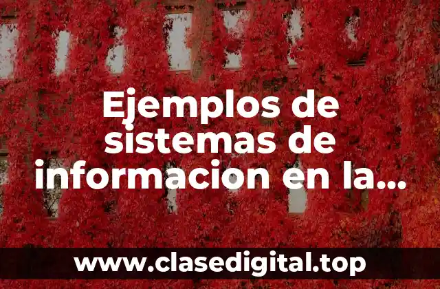 Ejemplos de sistemas de informacion en la toma de decisiones y Significado