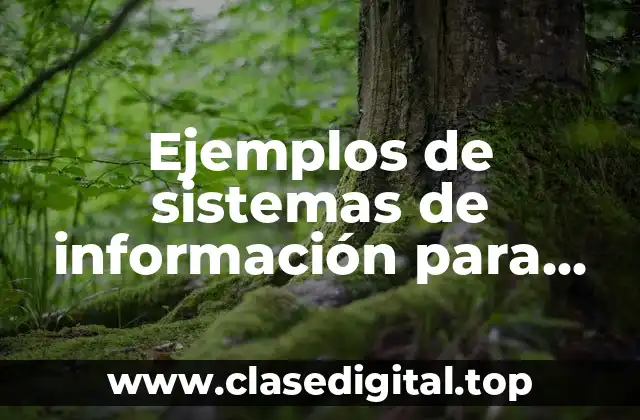 Ejemplos de sistemas de información para ejecutivos