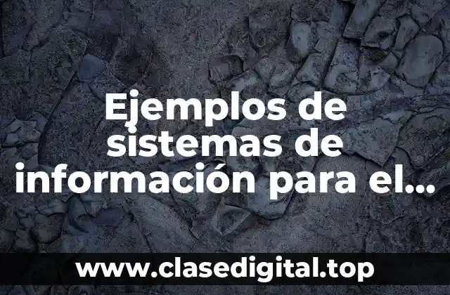 Ejemplos de sistemas de información para el procesamiento de datos
