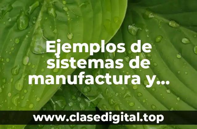 Ejemplos de sistemas de manufactura