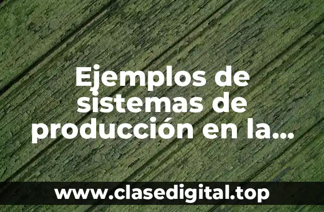 Ejemplos de sistemas de producción en la industria