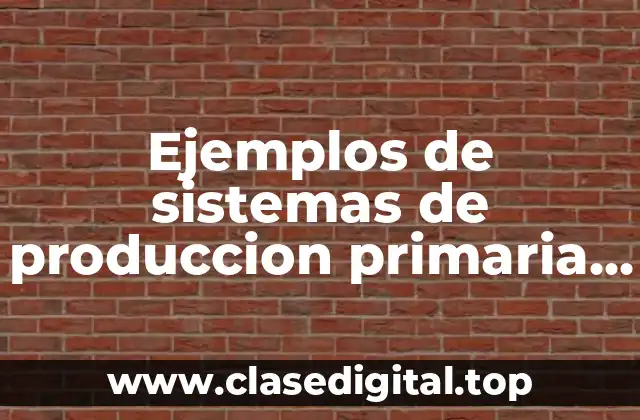 Ejemplos de sistemas de produccion primaria secundaria y terciaria