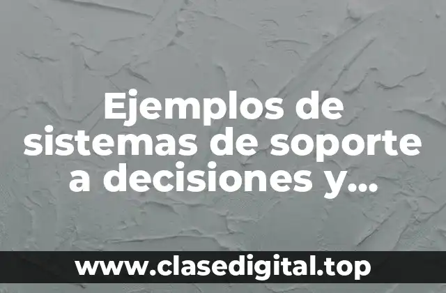 Ejemplos de sistemas de soporte a decisiones y Significado