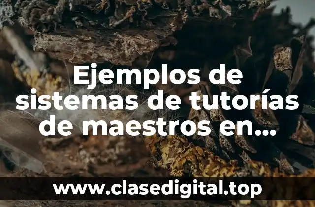 Ejemplos de sistemas de tutorías de maestros en forma presencial