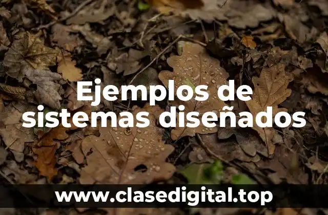 Ejemplos de sistemas diseñados