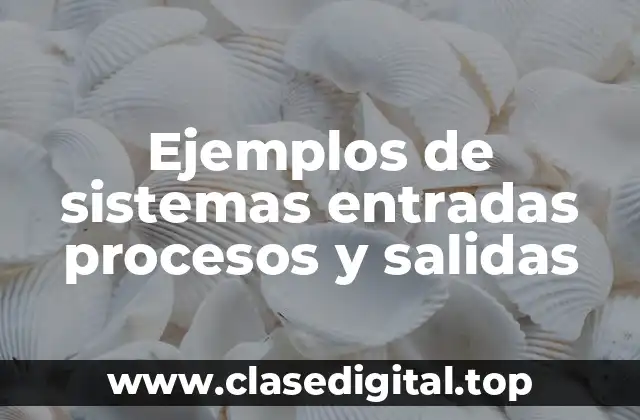 Ejemplos de sistemas entradas procesos y salidas