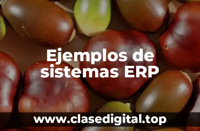 Ejemplos de sistemas ERP