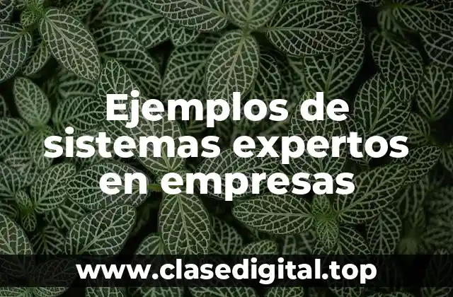 Ejemplos de sistemas expertos en empresas
