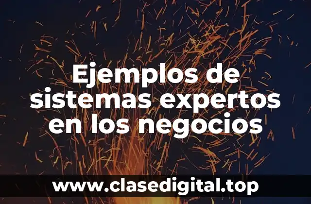 Ejemplos de sistemas expertos en los negocios