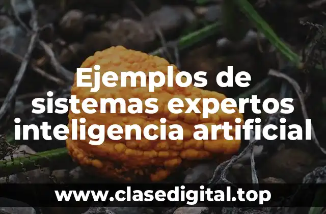 Ejemplos de sistemas expertos inteligencia artificial