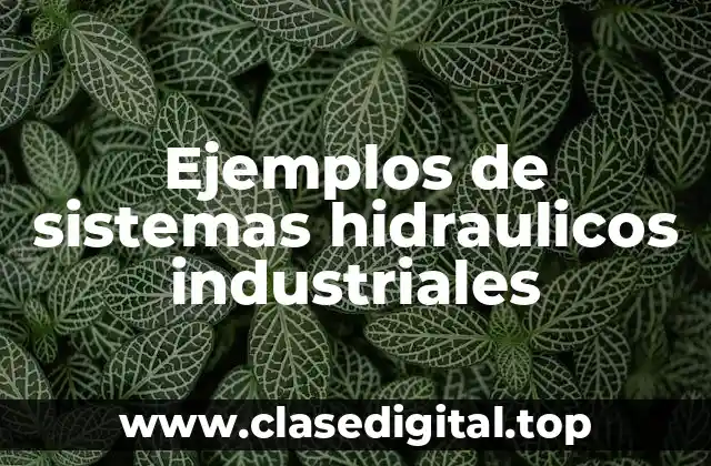 Ejemplos de sistemas hidraulicos industriales