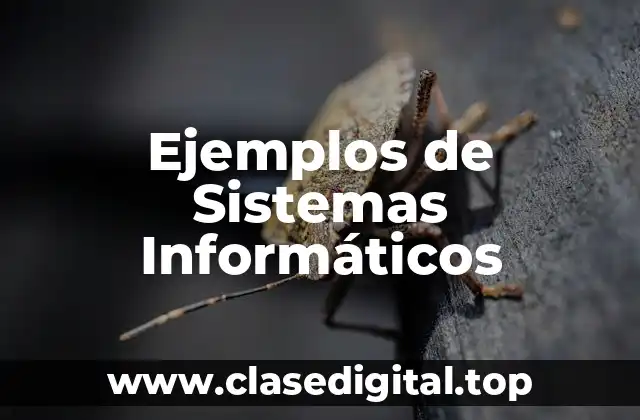 Ejemplos de Sistemas Informáticos