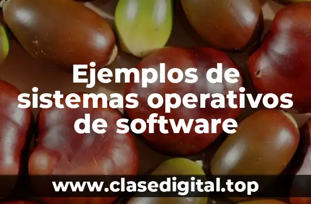 Ejemplos de sistemas operativos de software