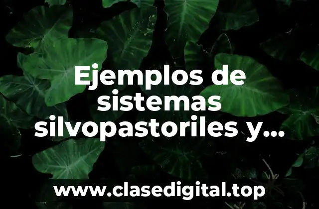 Ejemplos de sistemas silvopastoriles y Significado