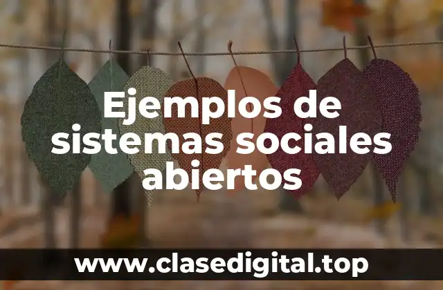 Ejemplos de sistemas sociales abiertos