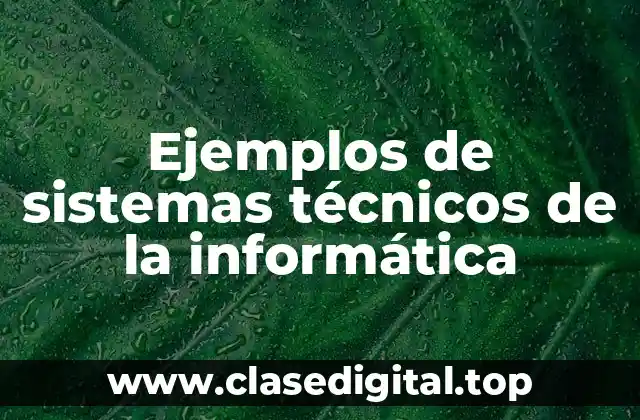 Ejemplos de sistemas técnicos de la informática