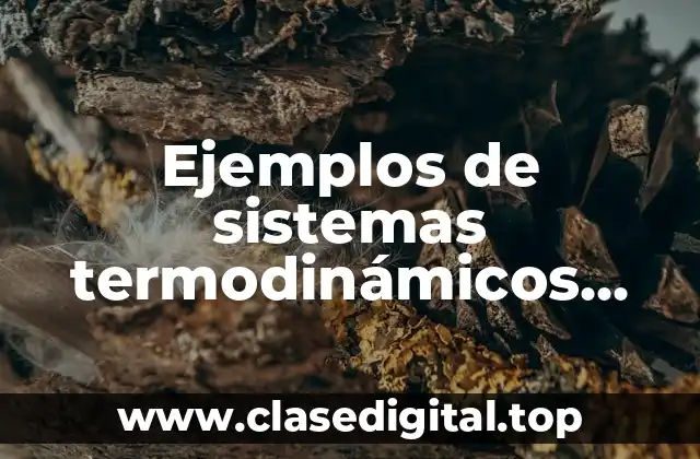 Ejemplos de sistemas termodinámicos abiertos