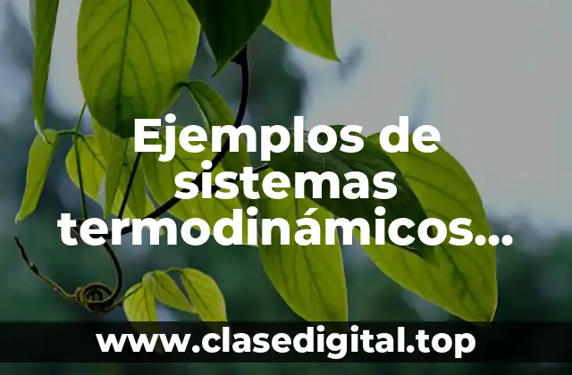 Ejemplos de sistemas termodinámicos cerrados