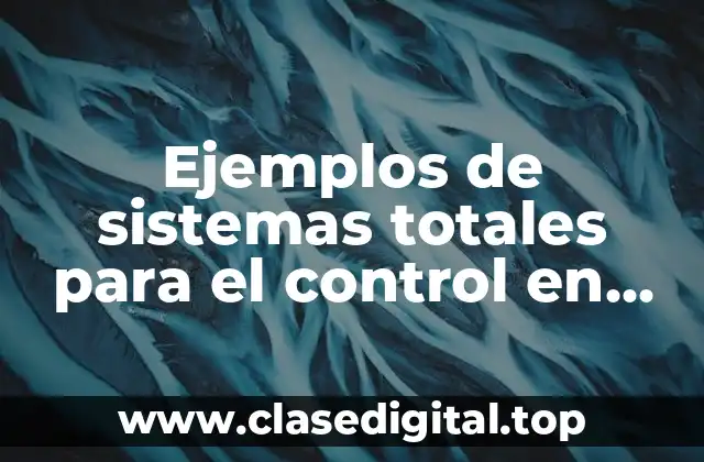 Ejemplos de sistemas totales para el control en una empresa