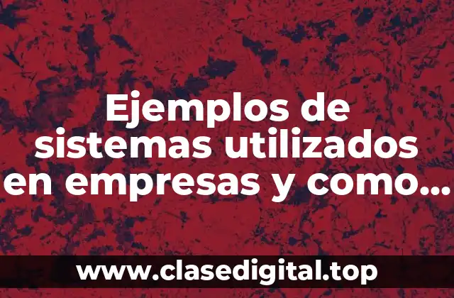 Ejemplos de sistemas utilizados en empresas y como se desarrollan