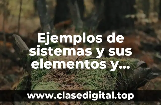 Ejemplos de sistemas y sus elementos y Significado