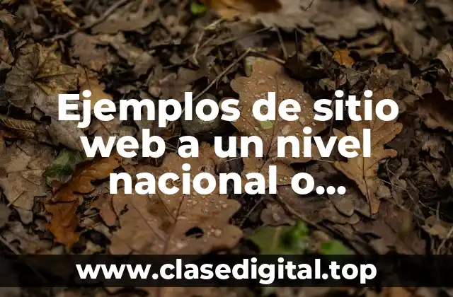 Ejemplos de sitio web a un nivel nacional o internacional