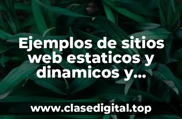Ejemplos de sitios web estaticos y dinamicos y Significado