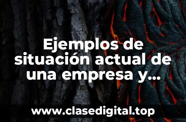 Ejemplos de situación actual de una empresa y Significado