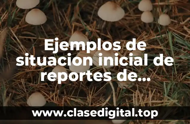 Ejemplos de situacion inicial de reportes de educación especial usuario