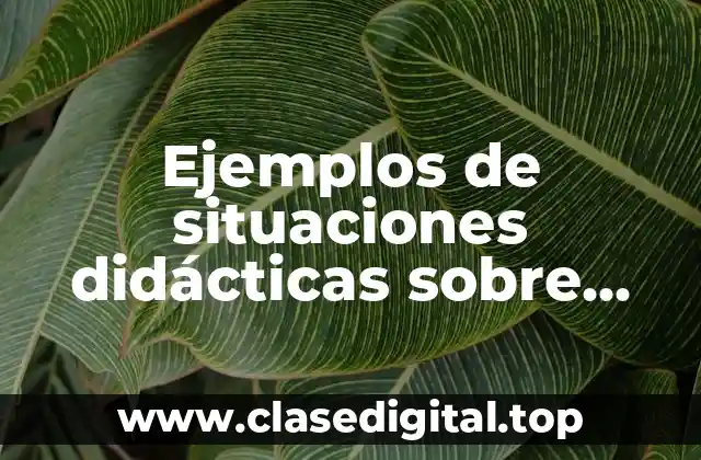 Ejemplos de situaciones didácticas sobre experimentos para niños de