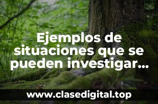 Ejemplos de situaciones que se pueden investigar en la sociología