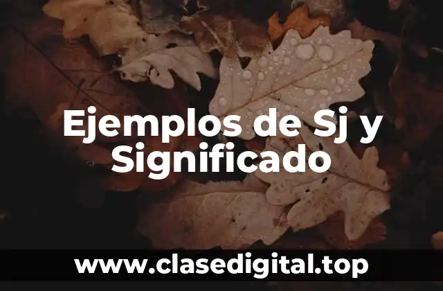 Ejemplos de Sj y Significado