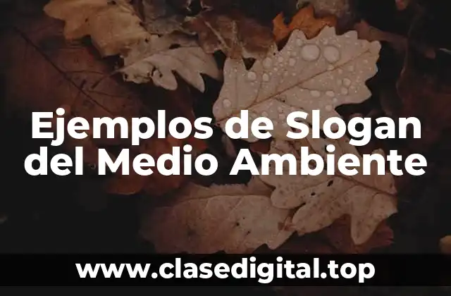 Ejemplos de Slogan del Medio Ambiente