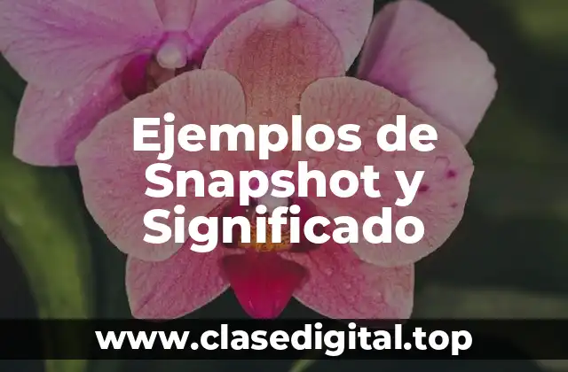 Ejemplos de Snapshot y Significado