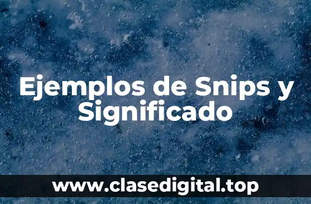 Ejemplos de Snips y Significado