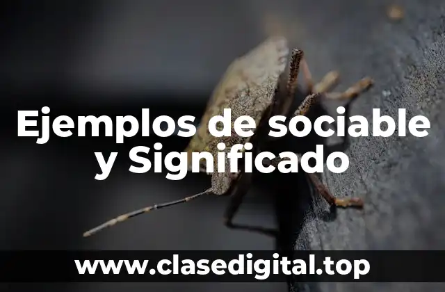 Ejemplos de sociable y Significado