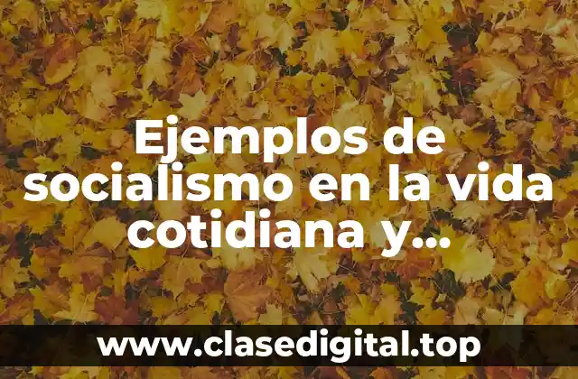 Ejemplos de socialismo en la vida cotidiana y Significado
