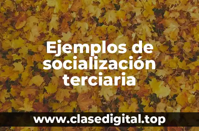 Ejemplos de socialización terciaria