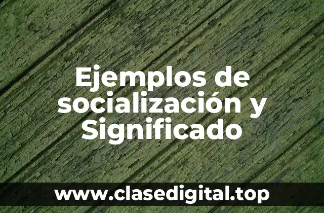 Ejemplos de socialización y Significado