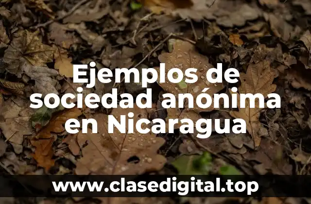 Ejemplos de sociedad anónima en Nicaragua