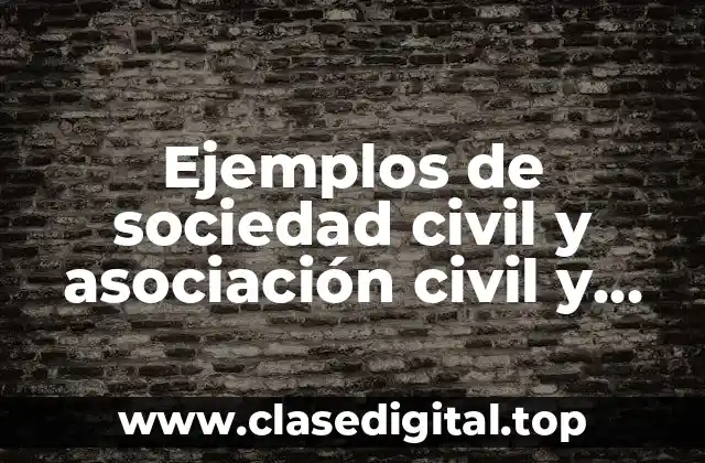 Ejemplos de sociedad civil y asociación civil y Significado